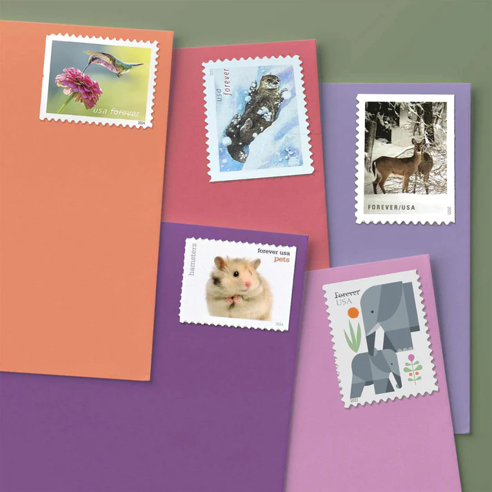 Animal Bundle
