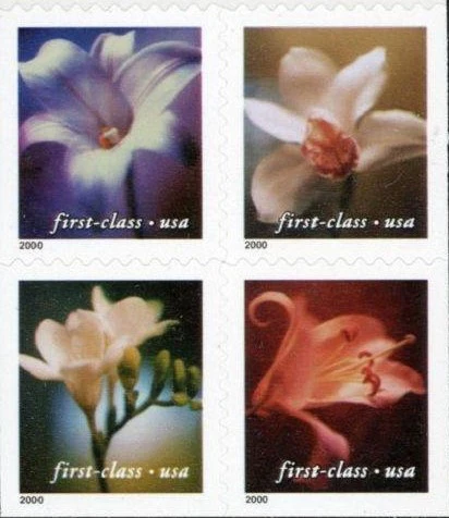 Four Orchids 2000