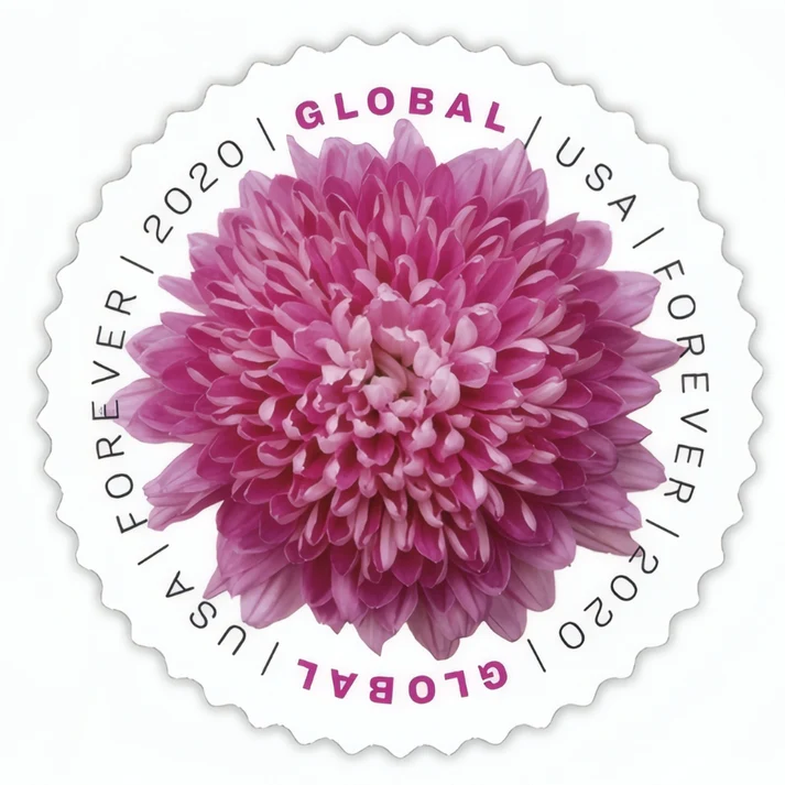 Global Chrysanthemum 2020
