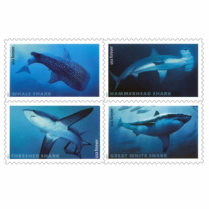 Sharks 2017