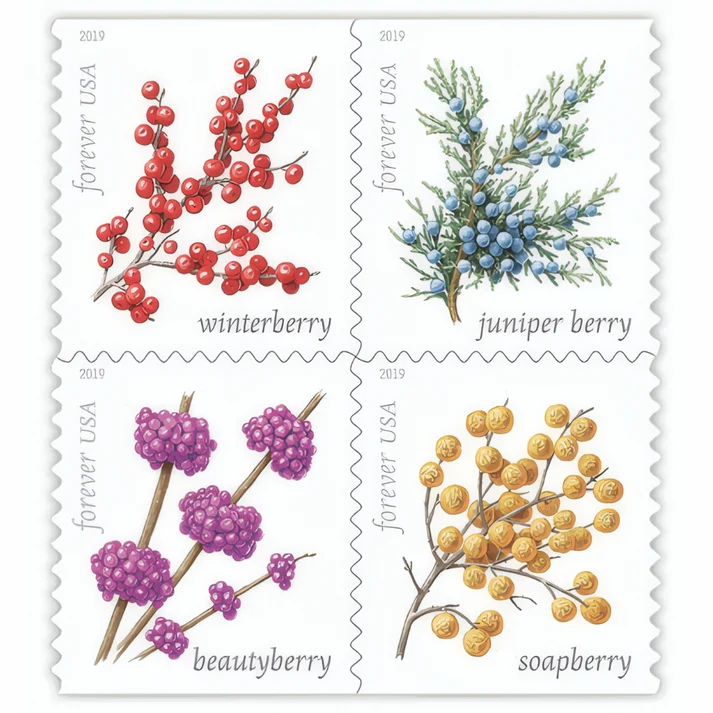 Winter Berries 2019