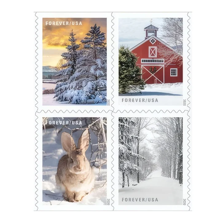Winter Scenes 2020