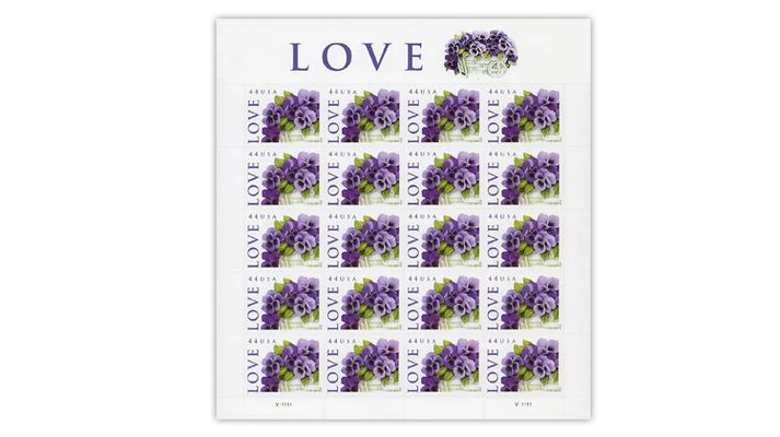 Purple Orchid 2010