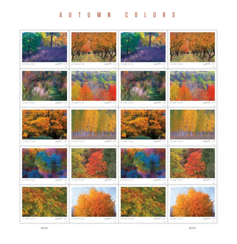 Autumn Colors 2024