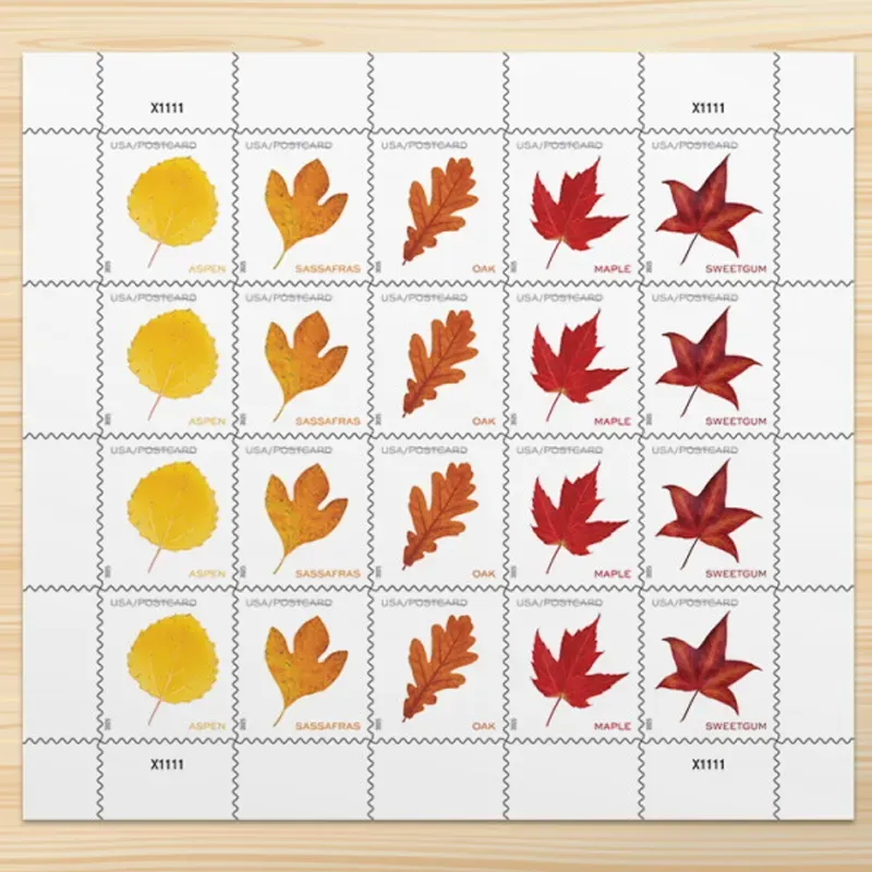 2025 Vibrant Leavea Postcard Forever First Class Postage Stamps